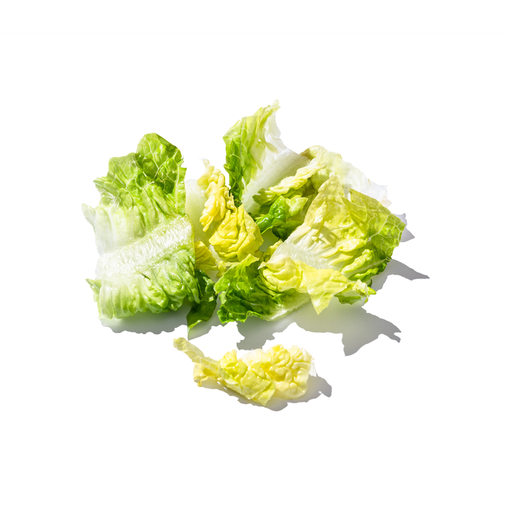 Romaine